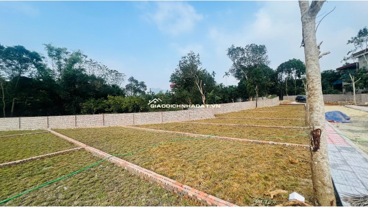 MUA ĐẤT Ở NGAY – TRUNG TÂM CHỢ BÃI XE – KIM BÔI GIÁ CHỈ  HƠN 300TR/LÔ